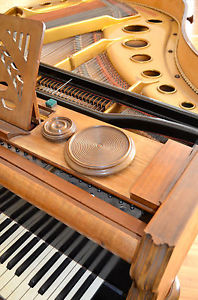 TRAUTWEIN Berlin Flügel Stutzflügel Piano +designed by Steinway Boston Pianobank
