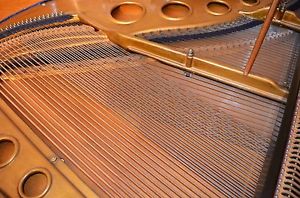 GESTIMMTER HOFBAUER Flügel Stutzflügel Grand Piano Pianofort Klavier Salonflügel