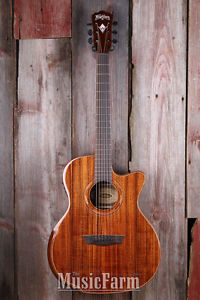 Washburn Wcg55ce Acoustic Guitar