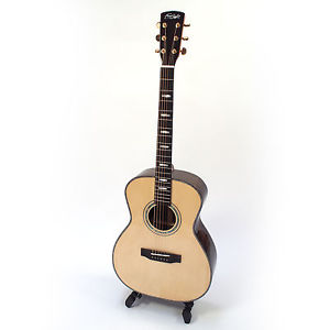 Acoustic Guitar Freestyle Artiste Series