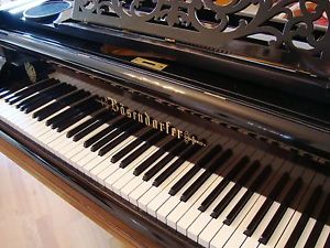 BÖSENDORFER 155cm Flügel Stutzflügel Grand Piano Pianofort Klavier Salonflügel