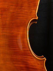 Old violoncello Vittorio Formagia