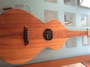 Hawaiian Acoustic lap steel guitar Weissenborn style