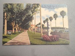 102116CM01 Uncirculated RARE #rd Sun News Co. POST CARD Lot of St. Petersburg