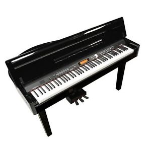 Medeli Grand 300 Digital Piano Ebony Polish