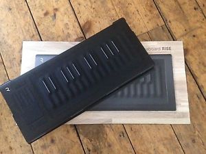 Roli Seaboard Rise 25 Key Equator Synth Package AND Flip Case Included