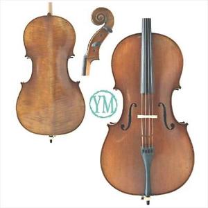 Eastman Strings Young Master Antiqued Cello 4/4 Full Size **NEW**