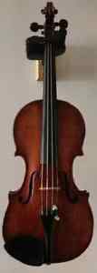 violin