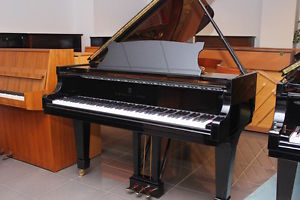 Steinway & Sons Flügel, B 211, Bj. 2003, vom Klavierbaumeister generalüberholt