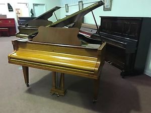 Beautiful Witton & Witton Baby Grand. FREE DELIVERY