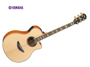 Yamaha Apx1000 NT Electric Accou