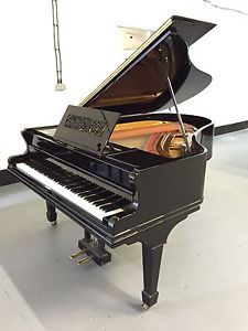 Broadwood Barless Grand Piano With A Polished Ebony Case C.1910 (Restored)