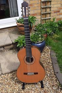 All Solid Spanish Style Classical Guitar - Lattice Bracing - Exceptional Value