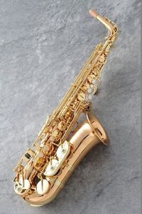 Yanagisawa A-WO2 Alto Saxophone New w/Hard Case Worldwide Shipping!!!