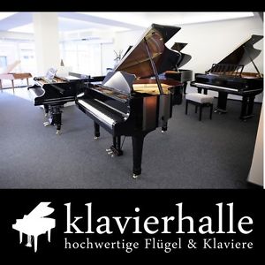 Hochwertiger Yamaha Flügel, 173cm, schwarz poliert ★ Bj.1986 - Top-Zustand