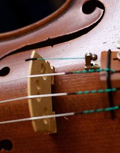 Very old labelled Vintage violin "Vincenzo Sannino" 小提琴 скрипка ヴァイオリンGeige