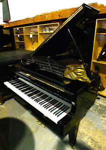 YAMAHA C3 CONSERVATORY Satin Ebony GRAND PIANO  Free Delivery available