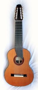 Classical 10 string guitar - also  7 string, 8 string & 11 string guitar