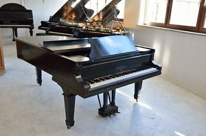 Steinway & Sons Flügel Modell B 211cm