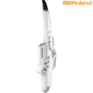 Roland Aerophone AE-10 Digital Wind Instrument MIDI Control l Authorized Dealer