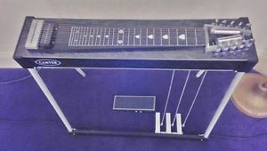 Carter Starter Pedal Steel Guitar