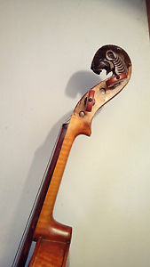 Violino steiner old Violin alte geige vintage testa di leone lion head Löwenkopf