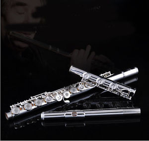 Top Grade Cupronickel 17 Holes Professional Musical instrument C Tone Flute #