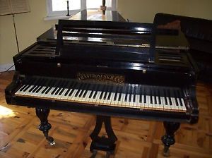 Ernst Rosenkranz Flügel Stutzflügel Salonflügel Klavier Grand Piano Pianoforte