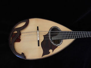 mandolin Mazzaccara , concert model