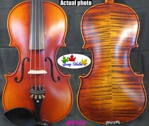 Guarneri style SONG Brand Maestro 15 1/2" viola,huge and powerful sound #9929