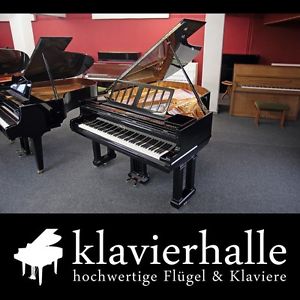 Aufwändig restaurierter Ibach Flügel, 200cm, Modell III, Bj.1912 ★ Top-Zustand