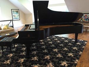 Steinway and Sons 2000 Concert Grand Piano Model D