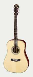 Aria 511 Acoustic Guitar + Hardcase