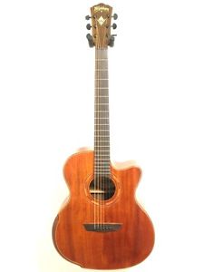 Washburn Wcg55ce Comfort Series 