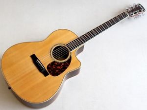 Larrivee LV-09 NAT w/hard case Free shipping Guiter Bass From JAPAN #V82