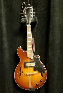 1967 Harmony Batwing Electric Mandolin Dearmond Pickup and Case