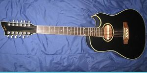 ** Collector's ** Jay Turser 12-String Guitar Cutaway Acoustic
