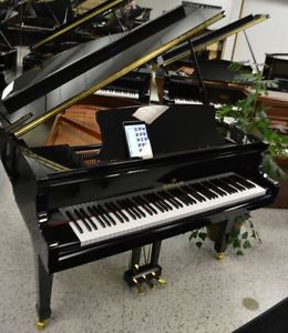 Schiller Baby Grand Piano IQ PAD Player System - Black Polish