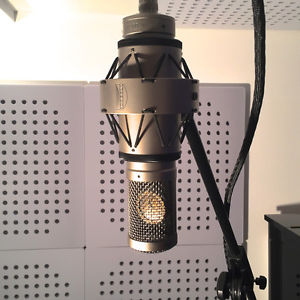 Brauner VMX Pure Cardiod Tube Microphone Neumann U47 U87 AKG C12