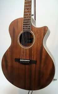 Ibanez AE245 Acoustic Electric Guitar w/case [Excellent++] from Japan