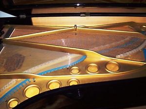 BECHSTEIN Konzert Flügel Klavier Grand Piano Pianofort Studioflügel Stutzflügel