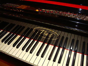 FANTASTISCHER IBACH Flügel Salonflügel Stutzflügel Klavier Piano Pianoforte