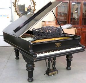 BEAUTIFUL STEINWAY AND SONS EBONY  GRAND PIANO MODEL B FLOWER POT