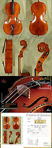 4/4 HANDmade MAESTRO GLIGA Antiqued CELLO - STRAD Pattern from ViolinsLover