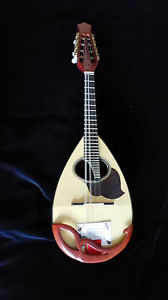 new mandolin Mazzaccara, Mozzani style
