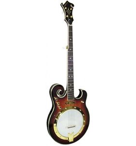 Banjo électrique 5 cordes Gold Tone EBM-5 (+ étui)