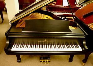 STEINWAY & SONS Model M 5'7" - Ebony Satin Grand Piano - bosendorfer bluthner