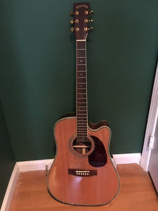 Zager Model ZAD-80CE guitar