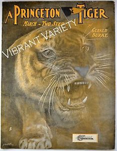 A Princeton Tiger Princeton University College Art By Starmer 1902 sheet music