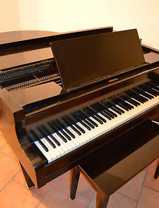 KLEINER WENDEL & LUNG Flügel Klavier Salonflügel Pianoforte Piano Studioflügel